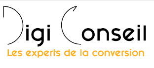 Digiconseil entreprise en webmarketing support informatique par chappliweb.fr